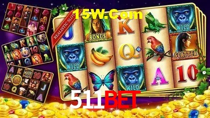 511Bet Rio de Janeiro - Slot Strategy